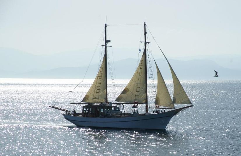 Brizet Apartments Sea View Pollonia Zewnętrze zdjęcie